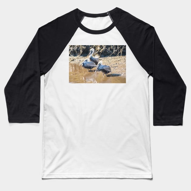 Brown pelican in Intracoastal Waterway Baseball T-Shirt by KensLensDesigns